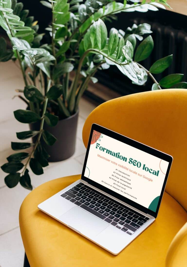 Formation SEO local